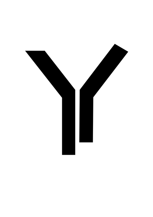 Lux Angelus